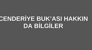 Cenderiye Buk’ası Hakkında Bilgiler