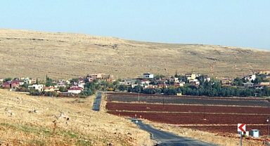 Cennetpınarı Mahallesi Nerede?