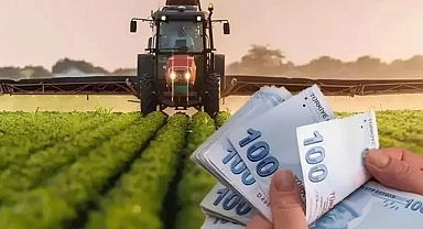 Çiftçilere Müjde: 5 Milyar 948 Milyon TL Destek Ödemesi Yapılıyor