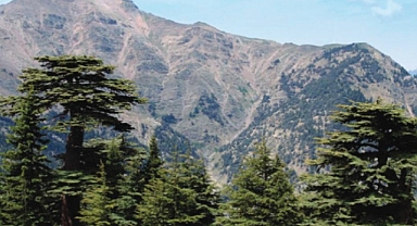 Çimen Dağı Nerede? 