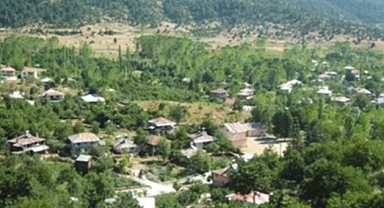 Çokak Mahallesi Nerede?