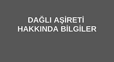 Dağlı Aşireti Hakkında Bilgiler