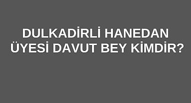 Dulkadirli Hanedan Üyesi Davut Bey Kimdir?