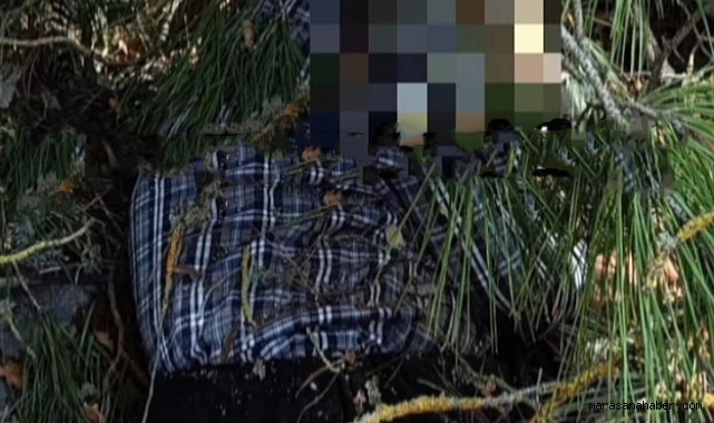 Kahramanmaraş’ta Ağaç Kesimi Faciası: Orman İşçisi Hayatını Kaybetti