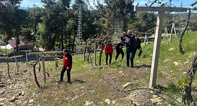 Kahramanmaraş’ta Don Felaketi Sonrası Cumhurbaşkanı’ndan Üreticiye Güvence