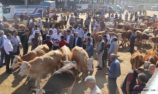 Kahramanmaraş’ta şap alarmı! Hayvan Borsası kapatıldı!