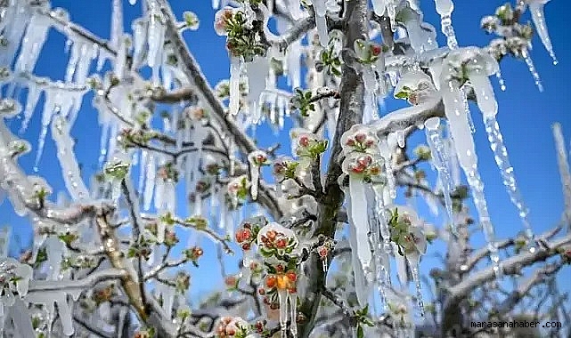 Kahramanmaraş’ta TARSİM’i olamayan çiftçilere de ödeme yapılacak!