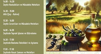 Kahramanmaraş’ta Zeytin Üretimine Bilimsel Dokunuş!
