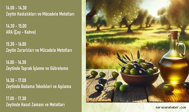 Kahramanmaraş’ta Zeytin Üretimine Bilimsel Dokunuş!