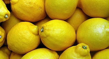 Limon ihracatına yasak!