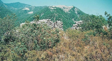 Mimari Yapı Çebiş Kalesi Nerede?