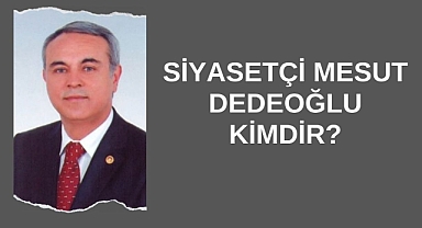 Siyasetçi Mesut Dedeoğlu Kimdir?