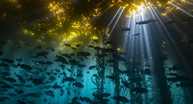 Şok İddia: Kahramanmaraş Altında Fırat Nehri'nin 100 Katı Büyüklüğünde Yer Altı Denizi mi Var?