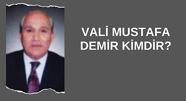 Vali Mustafa Demir Kimdir?