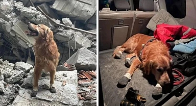 Kahramanmaraş Depreminde Mucizelere İmza Atan Killian Artık Yok!
