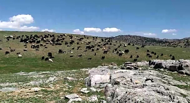Kahramanmaraş’ta göç serüveni başladı!