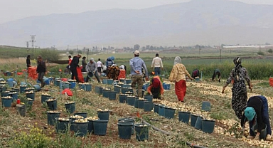 Kahramanmaraş’ta işçileri ilgilendiren gelişme! Günlük yevmiye fiyatı açıklandı!