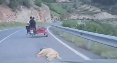 Kahramanmaraş'ta köpeği sürükleyen sürücü yakalandı! Ceza yazıldı