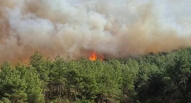 Kahramanmaraş'ta Orman Yangını Alarmı: Yerleşim Yerlerine Yakın
