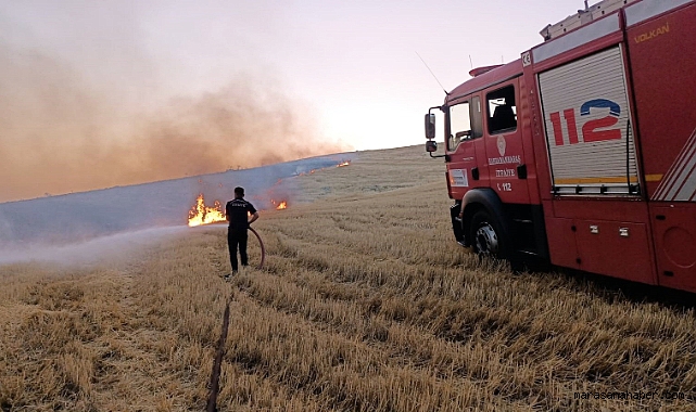 Kahramanmaraş’ta anız yakmayın uyarısı!