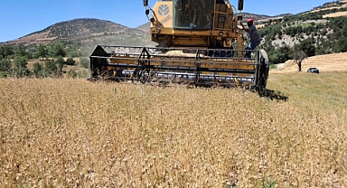 Kahramanmaraş’ta Az Yatırım, Yüksek Getiri! Çörek Otu kazanç kapısı oldu!
