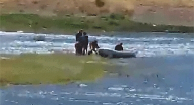 Kahramanmaraş'ta Baraj Sularında Mahsur Kalan 3 Çocuk ve 2 Köpek Kurtarıldı!