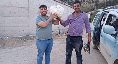 Kahramanmaraş’ta Dev Mantar Şaşkınlık Yarattı! Yaylada Nadir Keşif