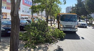 Kahramanmaraş’ta kışı aratmayan hava! Ağaçlar yerle bir oldu!