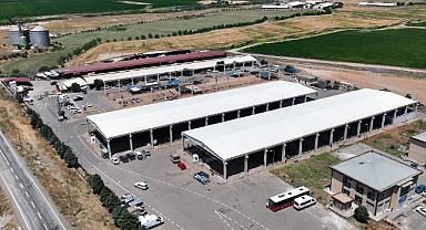 Kahramanmaraş’ta kurban pazarı bayrama hazır!