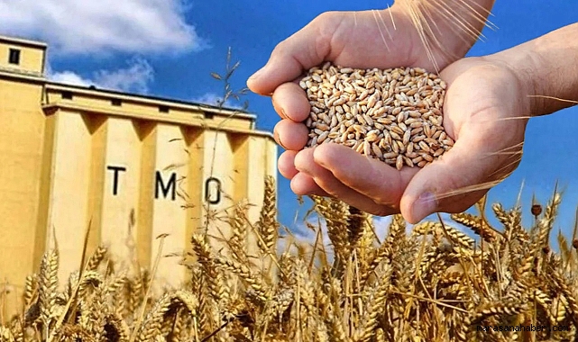 Kahramanmaraş'ta üreticinin merakla beklediği fiyat açıklandı! Alımlar başladı…
