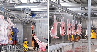 Onikişubat Belediyesi’nden kurbanlık satış ve kesim yerleri açıklaması!