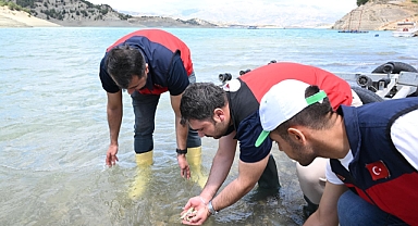 Kahramanmaraş Baraj Göllerine 700 Bin Yavru Sazan Bırakıldı!