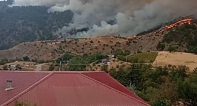 Kahramanmaraş'ta Büyük Orman Yangını!