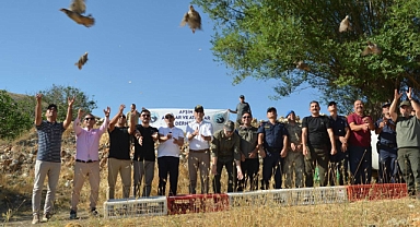 Kahramanmaraş’ta Kınalı Keklikler Doğaya Kanat Açtı!