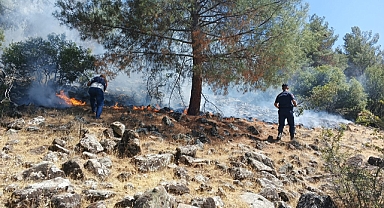 Pazarcık'ta Orman Yangını Korkuttu: 15 Dönüm Alan Etkilendi, İki Kişi Gözaltına Alındı