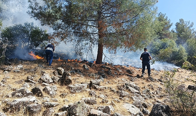 Pazarcık'ta Orman Yangını Korkuttu: 15 Dönüm Alan Etkilendi, İki Kişi Gözaltına Alındı