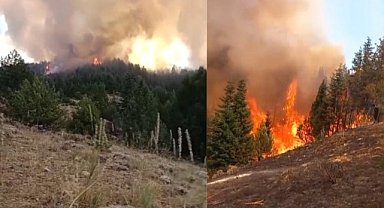 Göksun'daki Orman Yangını bölgeye yayılıyor! Kanlıkavak'a Sıçradı
