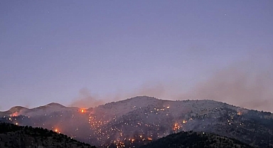 Kahramanmaraş’taki orman yangını devam ediyor!