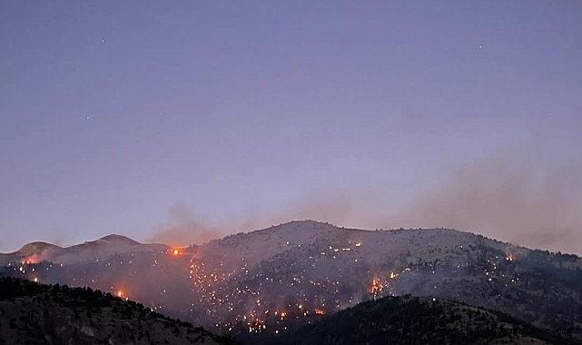 Kahramanmaraş’taki orman yangını devam ediyor!