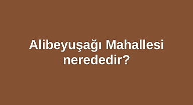 Alibeyuşağı Mahallesi nerededir?