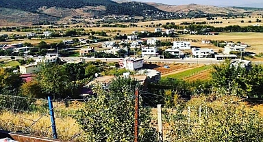 Altınova Mahallesi nerededir?