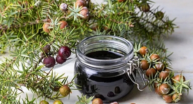 Andız Pekmezi: Toroslar’ın Şifalı Lezzeti