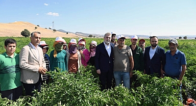 Başkan Görgel biber hasat etti!