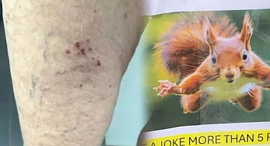 Bir anda mahalleye dadandı: Kimse güvende değil, herkes tedirgin