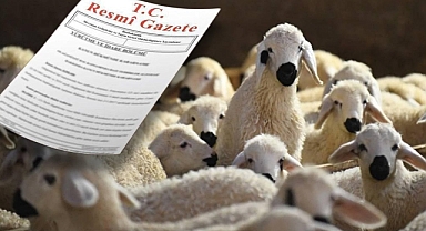 Hayvancılık Desteklemeleri Artırıldı: Kahramanmaraşlı Üreticiler İçin Büyük Fırsat