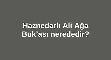 Haznedarlı Ali Ağa Buk'ası nerededir?