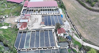 Kahramanmaraş, Alabalık Yetiştiriciliğinde Bölgenin İhtiyacını Karşılıyor!