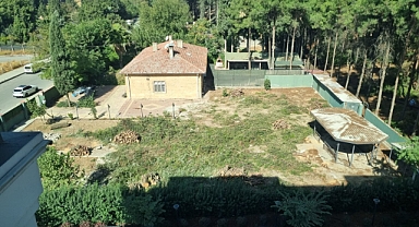 Kahramanmaraş’ta ağaç katliamı!