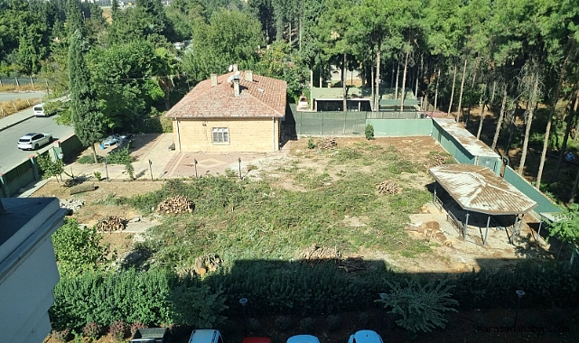 Kahramanmaraş’ta ağaç katliamı!