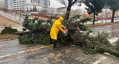 Kahramanmaraş’ta Fırtına Alarmı! Büyükşehir’den Vatandaşlara Kritik Uyarı